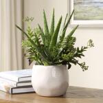 Sundown Succulent Accent - Image 3