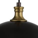Placuna, 1 Lt Pendant Lighting Black 18