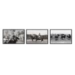 The Art of Polo 1