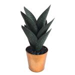 Medium Oasis Hand Finished Cactus