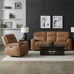 Sofa & Recliner