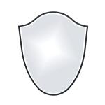 Vanguard 3