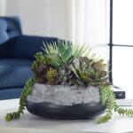 Gobi Succulent Centerpiece - Image 3