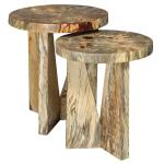 Nadette Nesting Tables, Natural, S/2 - Image 11