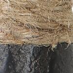 Melville Mirror - Image 3