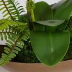 Transcend Orchid - Image 7
