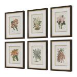 Orchid Botanical Framed Prints, S/6 - Image 3