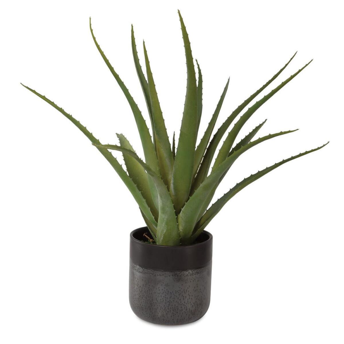 e77dad88c6d8613488d3e5952bc1a178 Tucson Aloe Planter - Image 1
