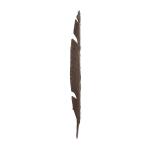 Coastal Palm - Image 3