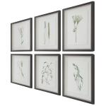 Forest Finds Framed Prints, S/6 - Image 5