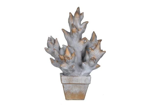 Succulent Pot Culture Accessories Accessories