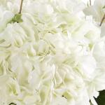Anastasia Hydrangea Centerpiece - Image 5