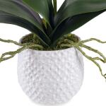 Cami Orchid - Image 5