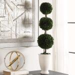 Preserved Boxwood Triple Topiary - Image 3