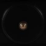 Laguna 3 Drawer Dresser - Image 3