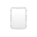Helix Mirror Small