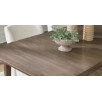 Origins Dandridge Butterfly Leaf Table - Image 3