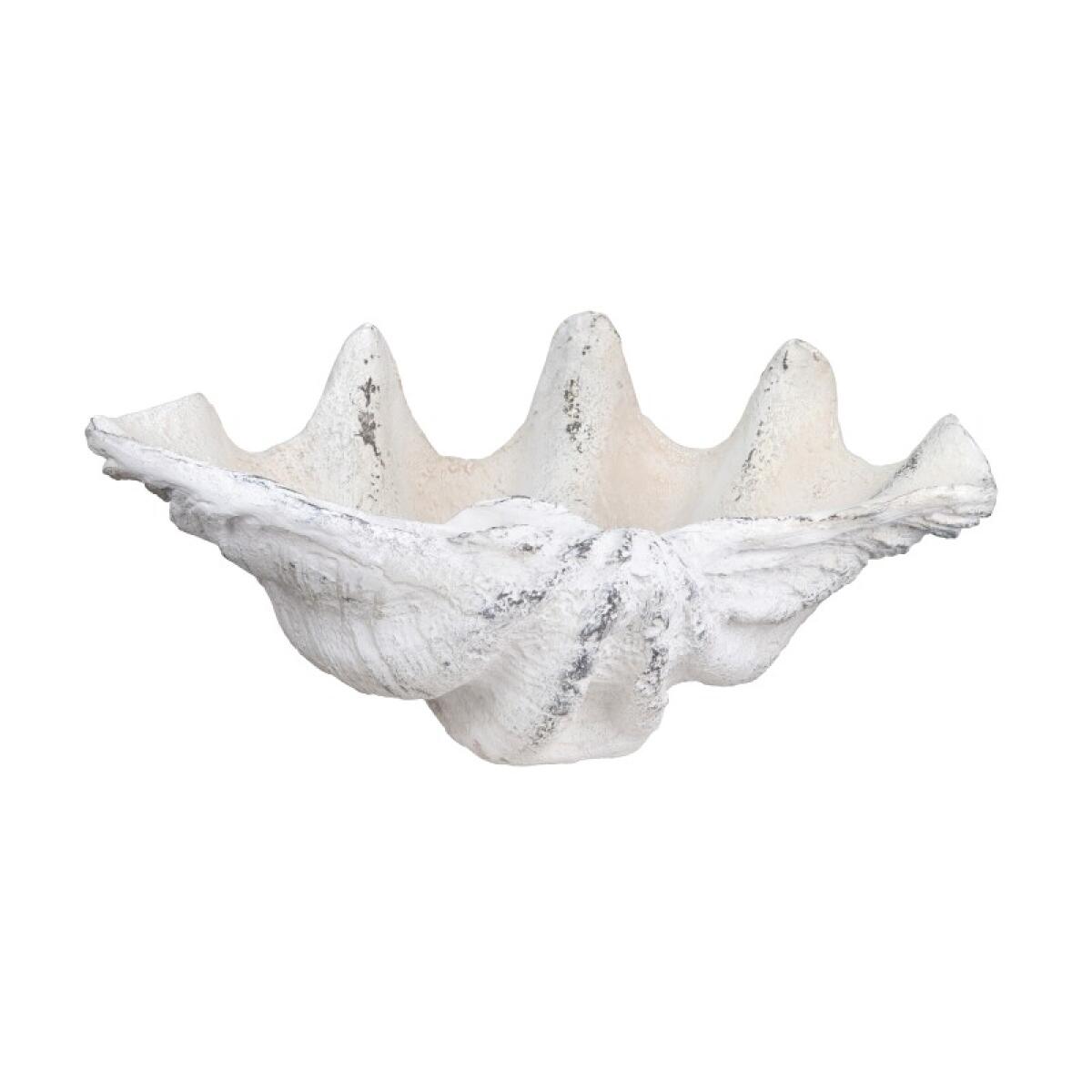 f037add01e33e2fac9be2e70c2e7311a Henley Shell Sculpture - Image 1
