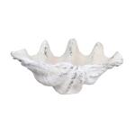 Henley Shell Sculpture