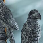 Aries Nightstand Cabinet Nightstands Bramble 20