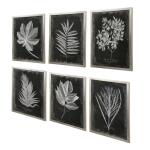 Foliage Framed Prints, S/6 - Image 4
