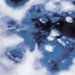 SPRUCE - Image 3