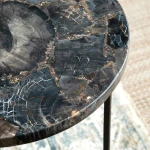 Pennington Petrified Wood Accent Table - Image 6