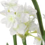Lacey Daffodil Accent - Image 3