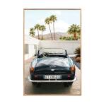 Palm Springs Cruisin