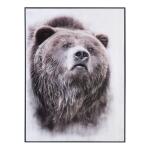 Bear's Den - Image 5
