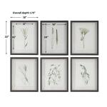 Forest Finds Framed Prints, S/6 - Image 9