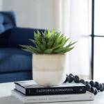 Doha Succulent Accent - Image 3