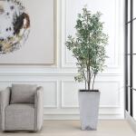 Sonora Olive Tree - Image 2