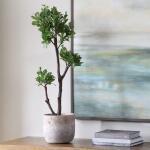 Arbor Strawberry Tree - Image 2