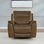 Collins SG Recliner P3