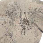 Teo Wood Wall Decor, Bleached S/3 - Image 8