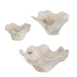 Teo Wood Wall Decor, Bleached S/3 - Image 6
