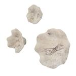 Teo Wood Wall Decor, Bleached S/3 - Image 4