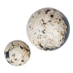 Nouveau Indoor-outdoor Spheres, S/2 - Image 3