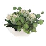 Protea Blooms Centerpiece Accessories Accessories 18