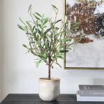 Solea Olive Accent - Image 3