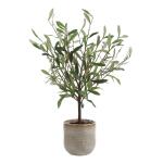 Solea Olive Accent