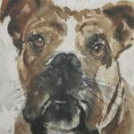 Dog Days Framed Prints, S/4 - Image 6