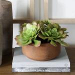 Sable Succulent Accent - Image 3