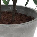 Marisol Potted Olive - Image 7