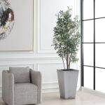 Sonora Olive Tree - Image 3