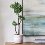 Arbor Strawberry Tree - Image 3