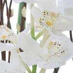 Eterna Orchid Centerpiece - Image 7