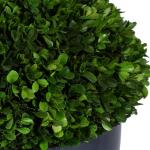 Verdana Boxwood Centerpiece - Image 4