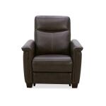 Recliner P3 & ZG - Image 5